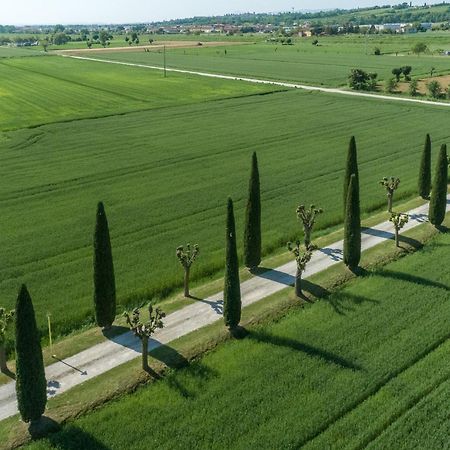 Casa Carlotta Affittacamere Foiano Della Chiana Esterno foto