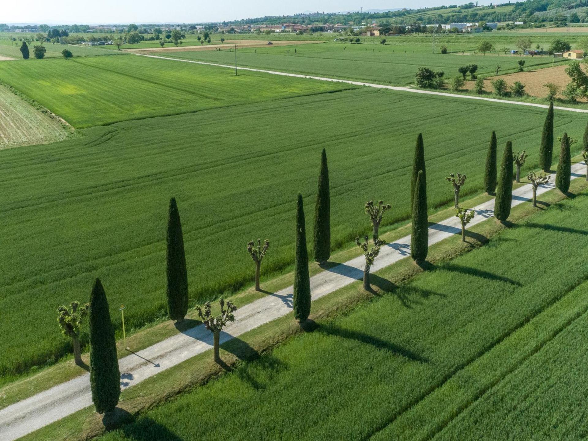 Casa Carlotta Affittacamere Foiano Della Chiana Esterno foto