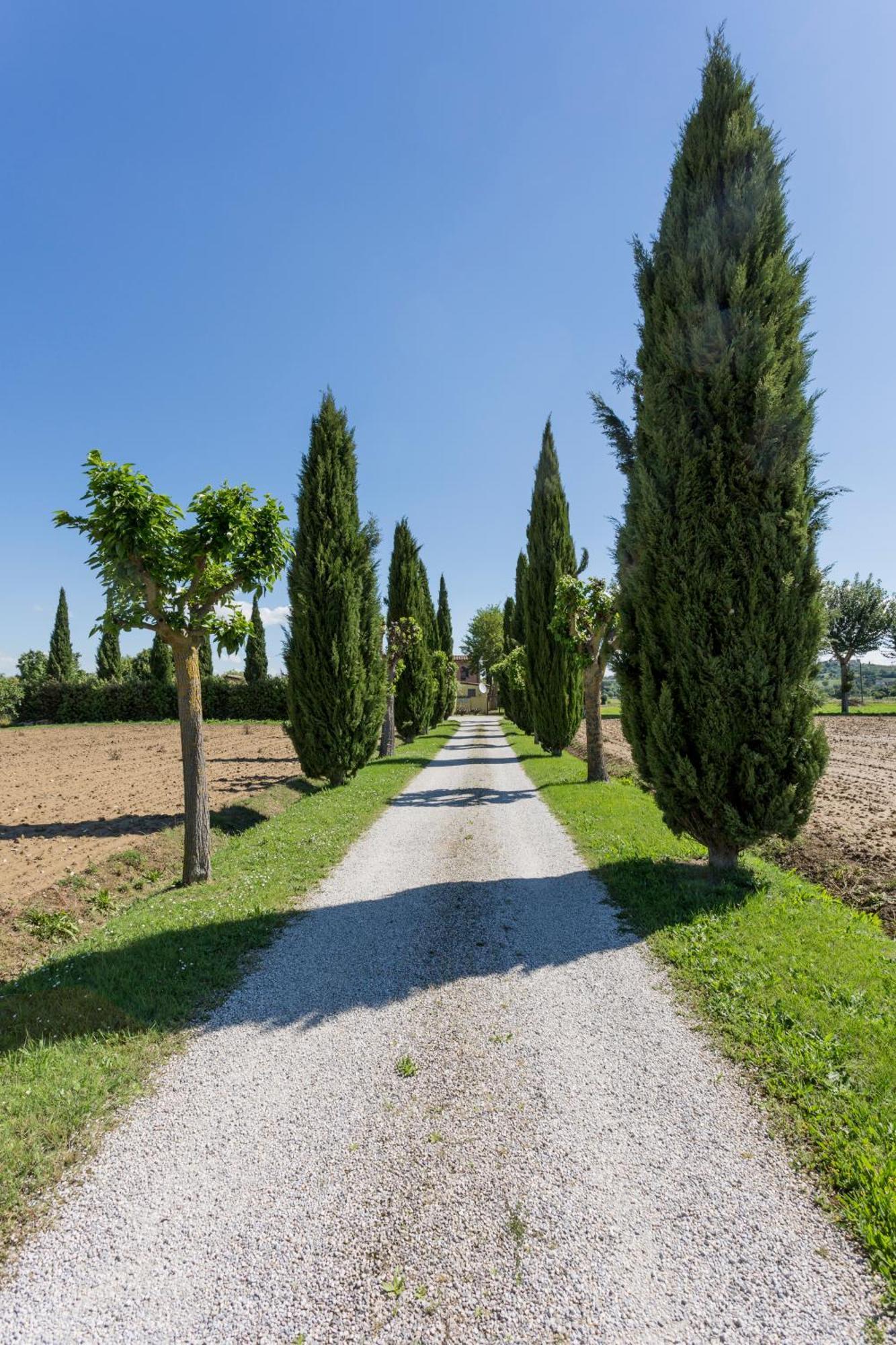 Casa Carlotta Affittacamere Foiano Della Chiana Esterno foto